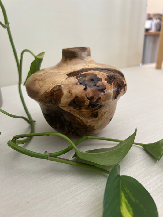 Pear Burl Vase