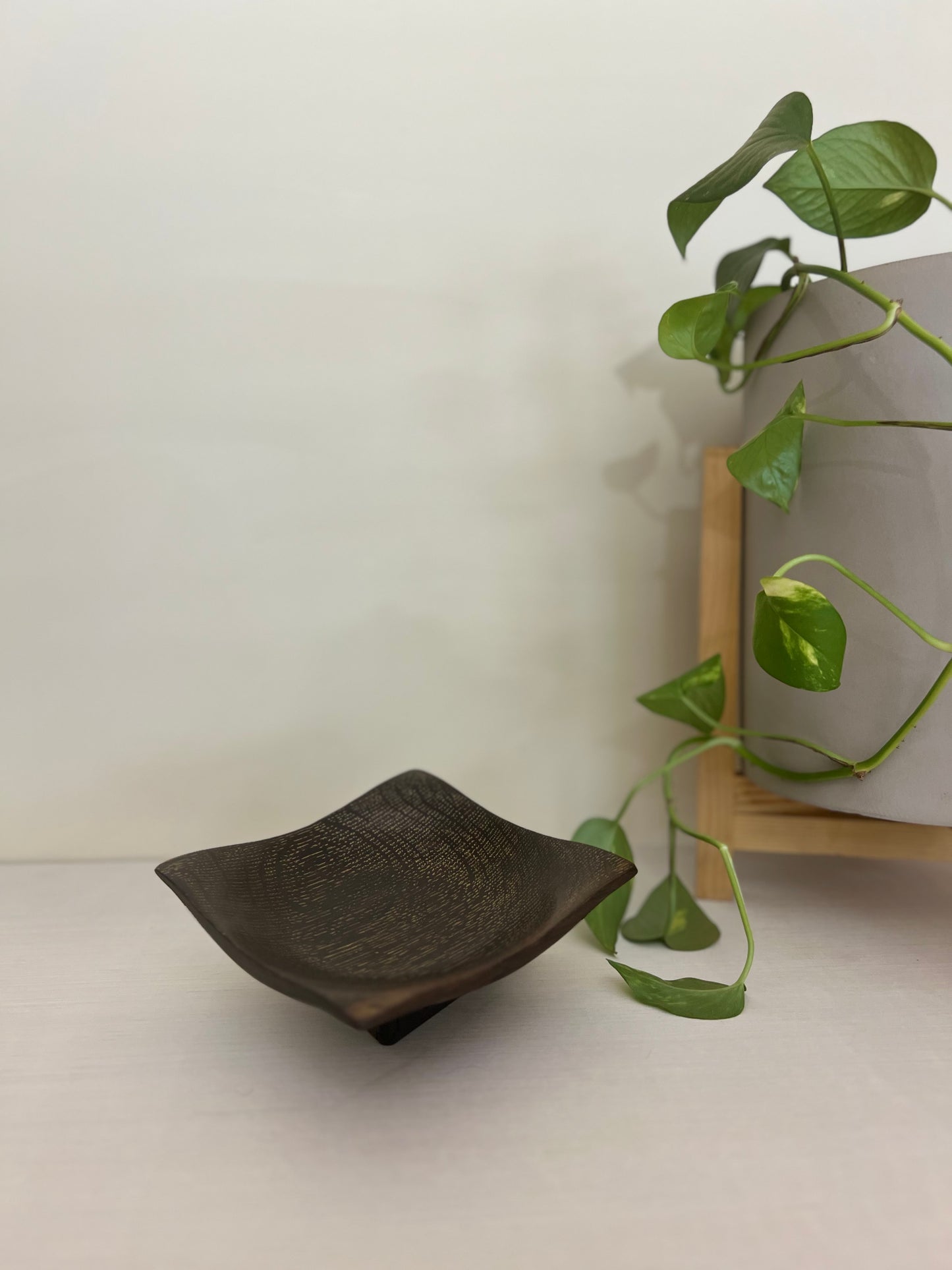 Gilded Oak Square Bowl